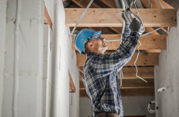 Best Electric Panel Repair  in Alexandria, VA